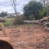 FUERTES VIENTOS PROVOCAN CAÍDA DE ÁRBOL Y MUERTE DE DOS PERSONAS EN PUENTESIÑO
