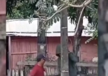 Momento del hurto del cable a tierra de una columna de la ANDE
