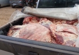 Carne transportada de manera irregular en una camioneta