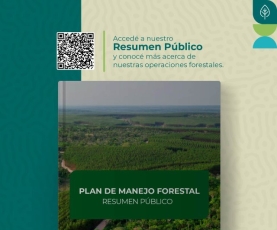 Paracel presenta su Reporte Público del Plan de Manejo Forestal 2025