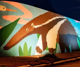 100 NIÑOS Y NIÑAS DE CONCEPCIÓN INAUGURAN UN MURAL QUE CELEBRA LA RIQUEZA DE EL CERRADO