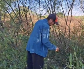 SAN JOSÉ OLERO: ADICTOS HABRÍAN INTENTADO ROBAR UN CABALLO Y LO ASFIXIARON