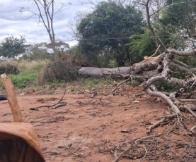 FUERTES VIENTOS PROVOCAN CAÍDA DE ÁRBOL Y MUERTE DE DOS PERSONAS EN PUENTESIÑO