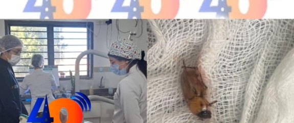 PROCEDIMIENTO EN SAN ALFREDO: EXTRAEN UN INSECTO DEL OÍDO DE UNA PACIENTE