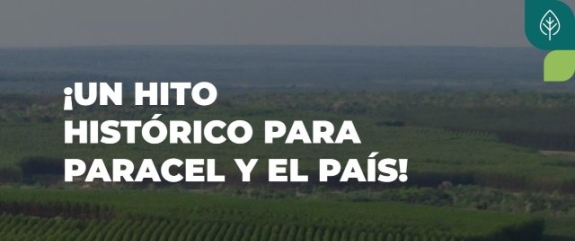 Celebramos un hito histórico para Paracel: el registro del Proyecto Forestal de Carbono Paracel ARR y la aprobación de nuestros primeros créditos de carbono