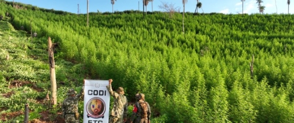 OPERACIÓN ESCUDO GUARANÍ GOLPEA AL NARCOTRÁFICO EN AMAMBAY 