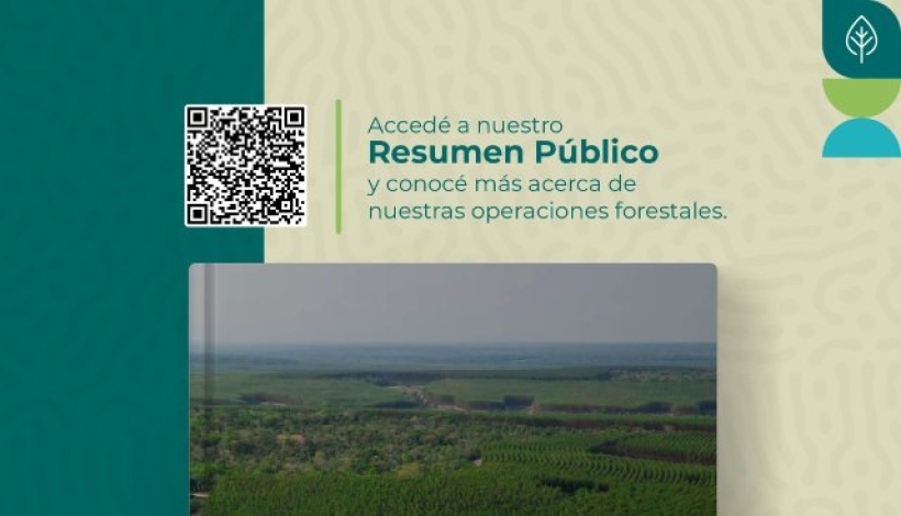 Portada del reporte