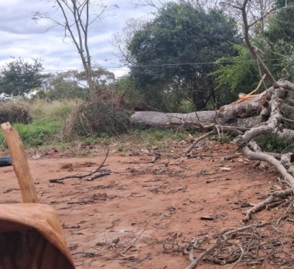 FUERTES VIENTOS PROVOCAN CAÍDA DE ÁRBOL Y MUERTE DE DOS PERSONAS EN PUENTESIÑO