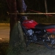 JOVEN MOTOCICLISTA PIERDE LA VIDA TRAS IMPACTAR CONTRA UN ÁRBOL EN CONCEPCIÓN 