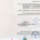 ASUETO MUNICIPAL EN CONCEPCIÓN: HABRÁ CLASES Y ACTIVIDAD JUDICIAL?