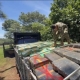 SENAD INTERCEPTA CARAVANA NARCOTRAFICANTE Y DECOMISA 70 TONELADAS DE MARIHUANA
